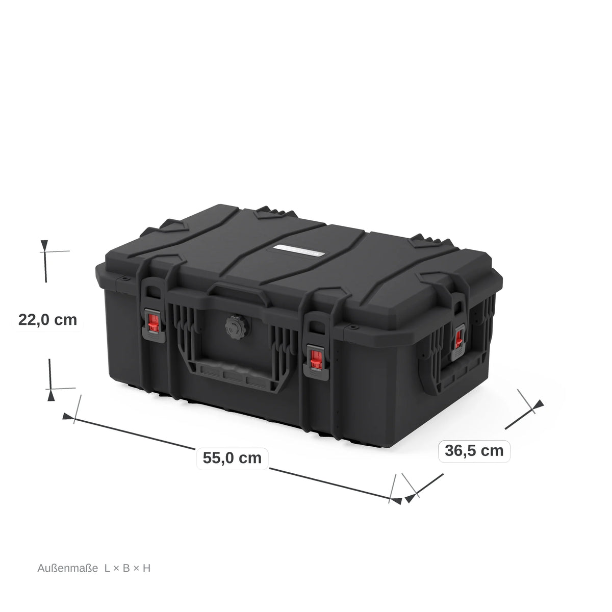 VICKYWOOD Transportbox FORT PLUS mit Foto-Inlay und Deckel-Organizer