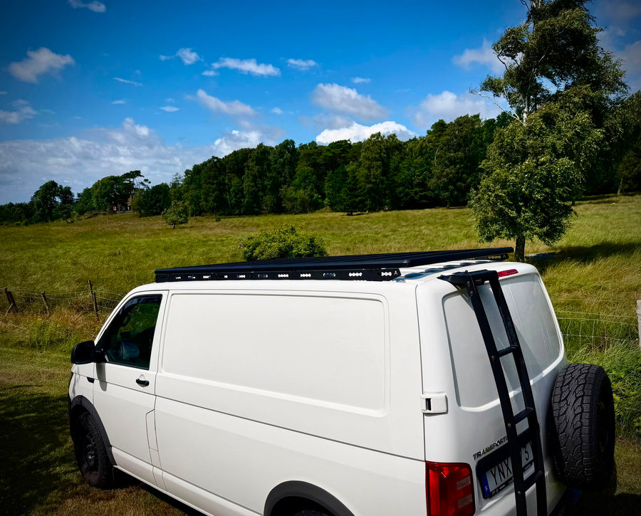 VW Transporter T6 mit Airholder Dachträgersystem und Heckleiter auf einer grünen Wiese
