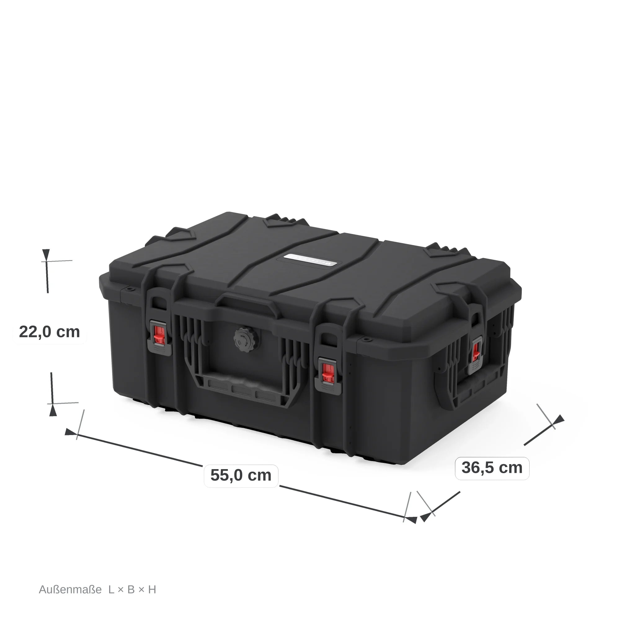 VICKYWOOD Transportbox FORT PLUS mit Foto-Inlay und Deckel-Organizer